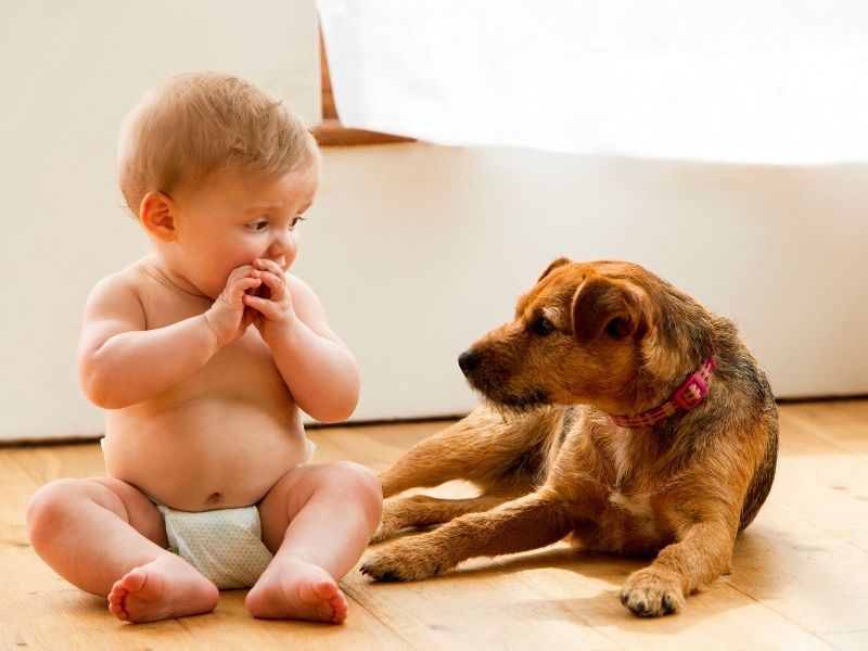 A chegada de um bebê e a nova dinâmica do lar